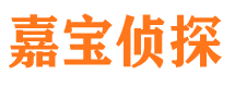 阳春侦探公司